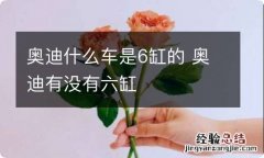 奥迪什么车是6缸的 奥迪有没有六缸