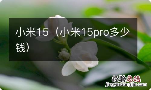 小米15pro多少钱 小米15