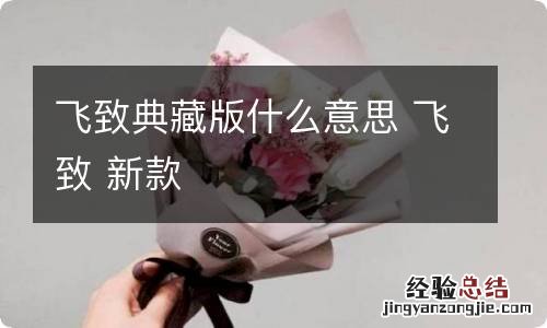 飞致典藏版什么意思 飞致 新款