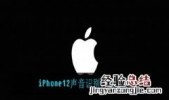 iPhone12如何开启声音识别 iphone12声音识别怎么用