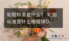 轮胎标准是什么？ 轮胎标准是什么橄榄球队