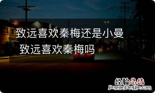 致远喜欢秦梅还是小曼 致远喜欢秦梅吗