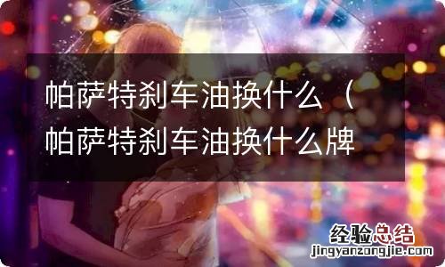 帕萨特刹车油换什么牌子 帕萨特刹车油换什么