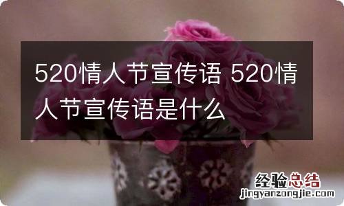 520情人节宣传语 520情人节宣传语是什么