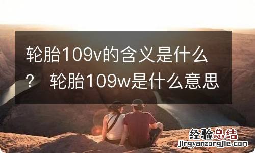 轮胎109v的含义是什么？ 轮胎109w是什么意思