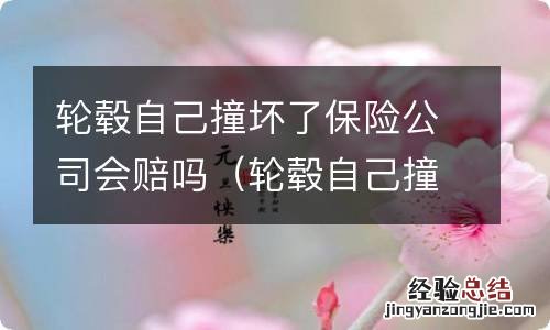 轮毂自己撞坏了保险公司会赔吗多少钱 轮毂自己撞坏了保险公司会赔吗