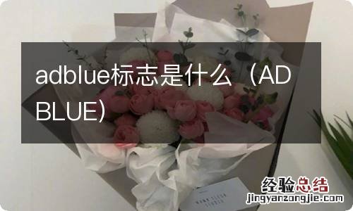 ADBLUE adblue标志是什么