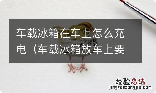 车载冰箱放车上要充电吗 车载冰箱在车上怎么充电