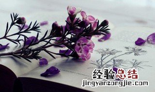 什么叫驻车档 驻车档解释