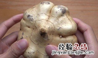 凉薯生吃好还是熟吃好 凉薯可以当水果吃吗