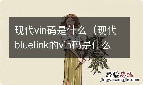 现代bluelink的vin码是什么 现代vin码是什么