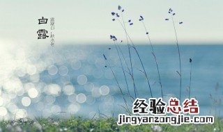 白露节气是什么意思 白露节气是什么意思又叫什么