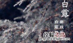 白露节气文案 白露节气文案短句