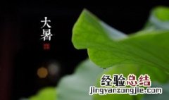 大暑节气习俗 大暑节气的简单含义是什么