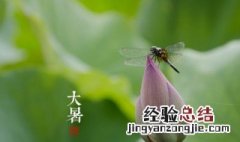 大暑节气是啥意思 大暑节气是什么意思