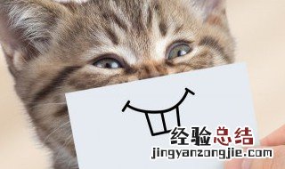 呲牙表情是什么意思 抱拳呲牙表情是什么意思