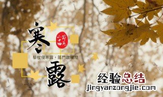 寒露节气的特点和风俗视频 寒露节气的特点和风俗