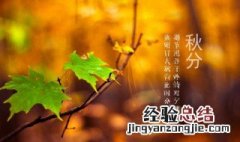 秋分节气寓意和象征 秋分节气寓意