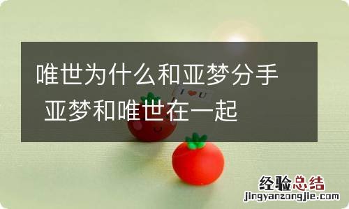 唯世为什么和亚梦分手 亚梦和唯世在一起