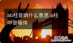 ab柱音响什么意思 a柱中音箱体