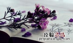 沿革是什么意思? 沿革是什么意思