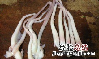 鱿鱼须怎么清洗 鱿鱼须怎么清洗处理