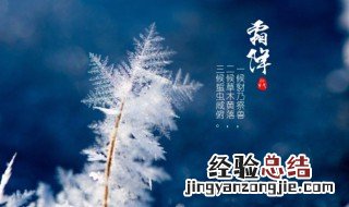 霜降节气的特点和风俗有放风筝的风俗吗 霜降节气的特点和风俗