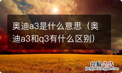 奥迪a3和q3有什么区别 奥迪a3是什么意思