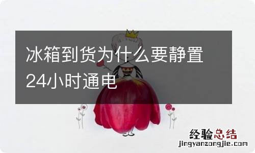 冰箱到货为什么要静置24小时通电