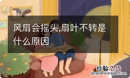 风扇会摇头,扇叶不转是什么原因