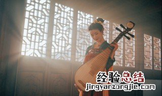 琵琶什么材质的比较好 琵琶什么材质的好