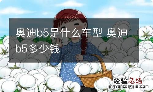 奥迪b5是什么车型 奥迪b5多少钱