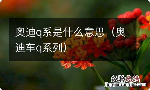 奥迪车q系列 奥迪q系是什么意思