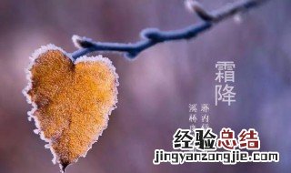 霜降节气的寓意和传统 霜降节气含义