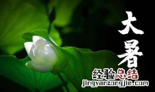 大暑节气的由来 大暑节气的由来和风俗