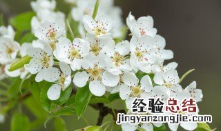 毕业赠言8字 毕业赠言8字古风