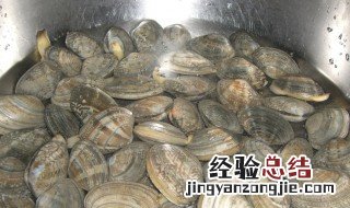 活蚬子隔夜怎么保存 活蚬子保存方法