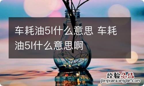 车耗油5l什么意思 车耗油5l什么意思啊