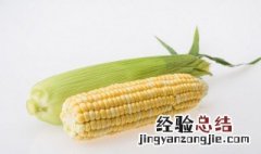 甜玉米和糯玉米怎么挑选 糯玉米如何挑选