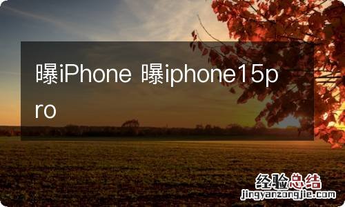 曝iPhone 曝iphone15pro