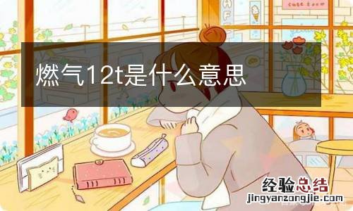 燃气12t是什么意思