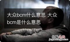 大众bcm什么意思 大众bcm是什么意思