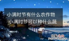 小满时节有什么农作物 小满时节可以种什么蔬菜