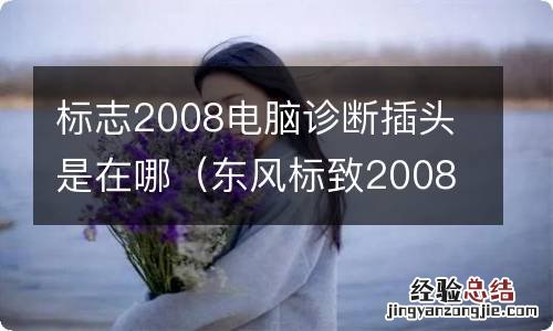 东风标致2008电脑诊断插头在哪里 标志2008电脑诊断插头是在哪