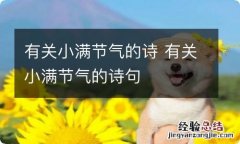 有关小满节气的诗 有关小满节气的诗句