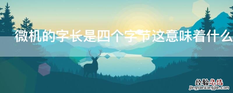微机的字长是四个字节这意味着什么