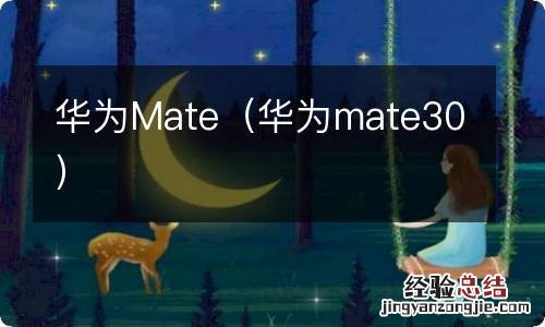 华为mate30 华为Mate