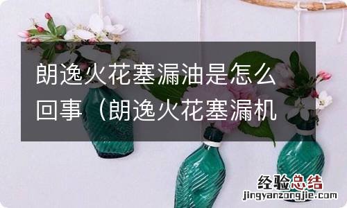 朗逸火花塞漏机油 朗逸火花塞漏油是怎么回事