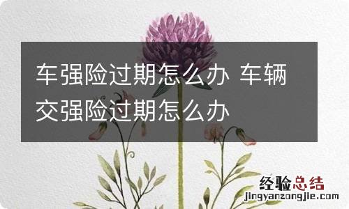 车强险过期怎么办 车辆交强险过期怎么办