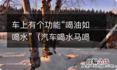 汽车喝水马喝汽油 车上有个功能“喝油如喝水”